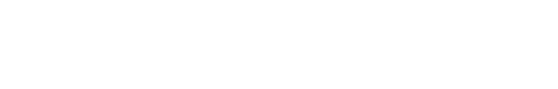 Wirral Council